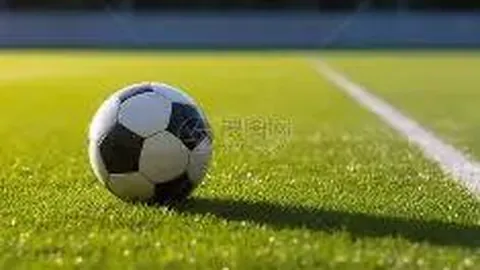 沙巴体育官网 资讯 111758 kjj